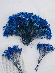 Sapphire Blue Starry Sky