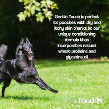 Pretty Pooch Gentle Dog Shampoo Conditioner 2L Powder Fragrance Non-Itchy Professional Deep Cleaning Sensitive Skin Dogs - Baby Powder - View 2