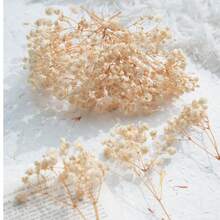 Beige Starry Sky