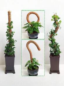 4組 16吋 龜背竹植物支撐苔蘚柱 可堆疊至48吋 室內盆栽攀爬植物用 高款椰纖維支撐柱與配件 適用於龜背竹、黃金葛與蔓藤榕 - 椰子棕棒 - 查看 8
