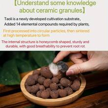 輕量膨脹黏土顆粒 Leca 顆粒 水耕栽培介質 室內外植物 多肉植物 仙人掌 盆景 玻璃缸填充物 透氣蜂巢顆粒 底層排水層 土壤通氣改良劑 0.22/0.55/1磅袋裝 - 陶粒 - 查看 6