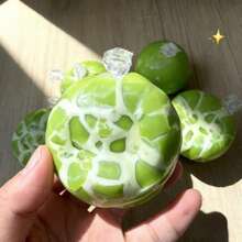 Candy-Colored Crunchy Rubber Soft Ball, Bursting Stress Relief Toy, Addictive TPR Anxiety Relief Toy, Suitable For Teenagers And Adults As Desktop Toy - Multicolor - View 7