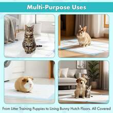 100-Pcs Pet Pee Pads(45cm X 33cm)-Deodorizing Pads For Small Dogs And Cats, Highly Absorbent And Leak-Proof, Suitable For Small Pets - one-size - View 10