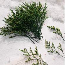 25/52/102/298 Pcs, Artificial White Mini Baby's Breath Flower Vase, Wedding Home Office Party Garden Card Making Decoration, DIY Decor - Green Lover Grass - View 1