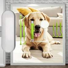 Green Tick Removal Tool Set In Metal Box, Dog Tick Removal Tool - Easy-Grip V-Shaped Head, No Residue, Portable And Durable, Suitable For Home Or Travel Use, Tick Remover Easy To Grip | Easy To Use | Can Be Used At Home Or On The Go, Comes With Metal Box For Easy Storage - View 9
