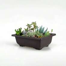 Square And Rectangular Imitation Purple Clay Planters, Bonsai Pots, Small Potted Plant Plastic Containers, Succulent Plant Pots - A - View 6
