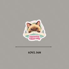 Pegatina de gato siamés lindo "Solo vibras introvertidas", calcomanía de vinilo kawaii introvertida para portátil, botella de agua, funda de teléfono, útiles escolares - Película estrella - Ver 5