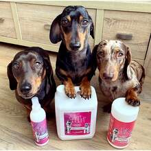 Pretty Pooch Gentle Dog Shampoo Conditioner 2L Powder Fragrance Non-Itchy Professional Deep Cleaning Sensitive Skin Dogs - Baby Powder - View 3