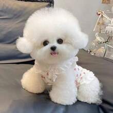 Spring/Summer New Floral Lace Spaghetti Strap Princess Dress Pet Outfit, Soft Elastic Tank Dress, Suitable For Poodles, Teddy Dogs And Other Small Dogs And Cats, Lightweight And Breathable - Pink - View 6