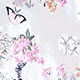 Gray Background Flower