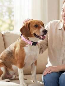 Adjustable Soft Dog Collars In 1 Or 2 Packs With Fruit Or Bow Patterns, Featuring Delicate Fruit Or Bow Pendants, Suitable For Small, Medium, And Large Dogs, With Buckles, Perfect For Spring/Summer Pet Collars, Suitable For Both Indoor And Outdoor Use - Multicolor - View 9