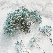 25/52/102/298 Pcs, Artificial White Mini Baby's Breath Floral Vases For Wedding, Home, Office, Party, Garden, Card Making Decoration, DIY Decoration - Pale Blue Baby's Breath - View 1