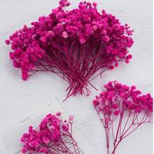 Rose Red Baby's Breath
