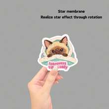 Pegatina de gato siamés lindo "Solo vibras introvertidas", calcomanía de vinilo kawaii introvertida para portátil, botella de agua, funda de teléfono, útiles escolares - Película estrella - Ver 10