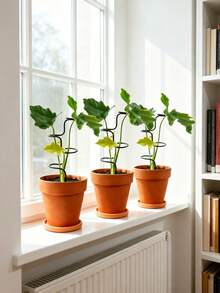 Plant Support Stake, Durable Metal Garden Stake, Suitable For Flowers And Herbs - 12.6 Inch (Approx. 32cm) Mesh Frame, Suitable For Indoor And Outdoor Plants, Easy To Use Support Structure, Enhanced Stability - Multicolor - View 5