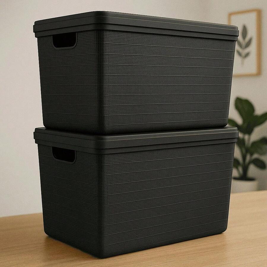 RVS E-COMMERCE Kit 2 Organizer Box With Lid Bathroom Kitchen 22 Liters Jaguar - Black - View 1