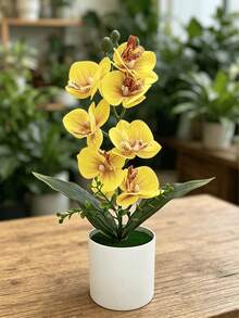 1pc Artificial Phalaenopsis Orchid Potted Plant, Realistic Fake Orchid Flower Bonsai, Silk Artificial Floral Decor, Maintenance-Free Artificial Flower Bonsai, Aesthetic Table Centerpiece Decoration For Living Room, Bedroom, Office, Wedding Garden, Home Desktop - Multicolor - View 5
