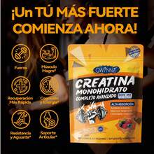 GWYNNE Protein - 60 Count - View 1