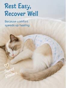 1pc Pet Cat Spay Surgery Recovery Suit, Female Cat Post-Op Clothing, Lightweight & Breathable, Prevents Licking, Scratching, Biting And Shedding, Pet Supplies, Functional Pet Apparel - Blue - View 5