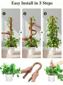 4組 16吋 龜背竹植物支撐苔蘚柱 可堆疊至48吋 室內盆栽攀爬植物用 高款椰纖維支撐柱與配件 適用於龜背竹、黃金葛與蔓藤榕 - 椰子棕棒 - 查看 5