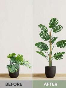 4組 16吋 龜背竹植物支撐苔蘚柱 可堆疊至48吋 室內盆栽攀爬植物用 高款椰纖維支撐柱與配件 適用於龜背竹、黃金葛與蔓藤榕 - 椰子棕棒 - 查看 10