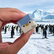 1pc Seal Cartoon Sandwich Cute Reward Student Japanese Style New Eraser Student Small Animal Penguin - Multicolor - View 9