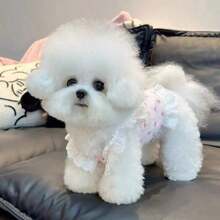 Spring/Summer New Floral Lace Spaghetti Strap Princess Dress Pet Outfit, Soft Elastic Tank Dress, Suitable For Poodles, Teddy Dogs And Other Small Dogs And Cats, Lightweight And Breathable - Pink - View 7