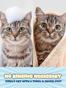 Pet Waterless Shampoo Foam 2.03 Fl Oz No-Rinse Dry Shampoo Mousse, Suitable For Dogs And Cats, Contains Oat, Soothes Itchy Sensitive Skin, Relieves Dryness, Deodorizes And Controls Odor, Alcohol-Free - 60ml - View 4