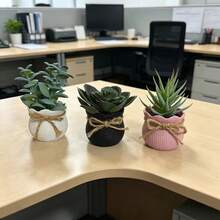 3件組人造多肉綠植盆栽，免維護，INS北歐風療癒桌面裝飾，適用於居家桌面、浴室、臥室、節日派對、辦公室等多場景的桌面裝飾仿真植物 - 三色 - 查看 6