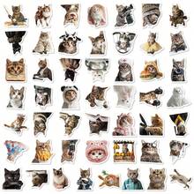 Juego de 100 piezas de pegatinas de animales lindos, pegatinas de vinilo impermeables para diarios, álbumes de fotos, portátiles, botellas de agua, pegatinas de gatos, perros y mascotas lindas adecuadas para niños, adolescentes, adultos y amantes de los animales - Multicolor - Ver 10