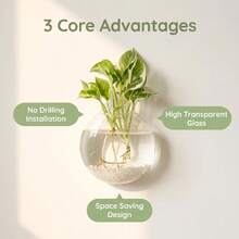 2/4/6pcs Wall-Mounted Glass Hydroponic Plant Vase, Self-Watering Hydroponic Planter, Suitable For Home Office Decor, Handmade Round Crystal Vase, Home Decor Room Decoration Glass Vase - 4pcs - View 5