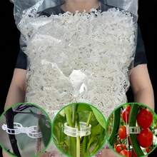 50pcs Plant Support Clips, Large Thickened Reinforced Durable Heavy Duty Plant Clips, Reusable Garden Mesh Clips - A - View 7
