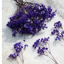Taro Purple Starry Sky