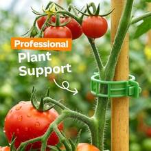 50pcs Tomato Clips, Plastic Mesh Plant Support Clips For Climbing Plants, Reusable Clips For Garden, Suitable For Supporting Grape, Tomato Vines And Vegetable Plants, Help Plants Grow Upright And Healthy - Multiple Styles - View 4