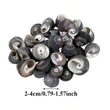 6pcs Small Black Snail Shell Set | Handmade Seashell, Ocean Theme - Suitable For Fish Tank, Aquarium, Micro Landscape And Small Crab Shell Replacement, Holiday Gift Birthday Gift Choice - Set - View 2