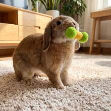 3pcs/Set-Random Color Pet Rabbit Felt Ball With Built-In Bell Dumbbell Shaped Toy - Rabbit Bite And Toss Toy - Consume Rabbit Energy - Simple Play - Toss And Sound To Attract Pet Interest - Rabbit Toy Rabbit Supplies Small Animal Toy - Multicolor - View 5