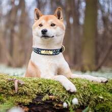 PU Embroidered Printed Pattern Dog Customized Collar Engraved Anti-Lost Pet Collar Adjustable Size For Small Medium Large Dogs - Multicolor - View 11