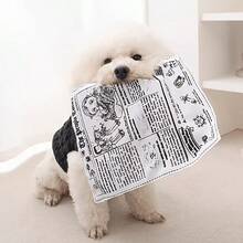 逼真報紙布料寵物玩具－防破壞互動玩具，耐撕咬耐抓，適合中小型犬的磨牙與紓壓工具，發聲設計增加趣味 - 彩色 - 查看 4