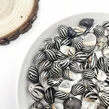 1 Box Grey & Black Zebra Striped Conch Shells - Ocean Themed Handmade Project Materials, Home Party Decor, Mini Crab Replacement Shells Fish Tank Decoration - Set - View 8