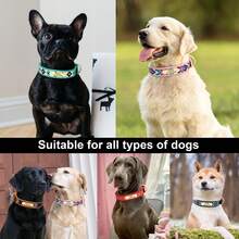 PU Embroidered Printed Pattern Dog Customized Collar Engraved Anti-Lost Pet Collar Adjustable Size For Small Medium Large Dogs - Multicolor - View 8