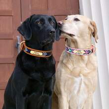 PU Embroidered Printed Pattern Dog Customized Collar Engraved Anti-Lost Pet Collar Adjustable Size For Small Medium Large Dogs - Multicolor - View 9