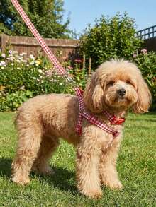 Red Plaid Polyester Collar, Harness And Leash 3 Pieces Set, Suitable For Small Poodles And Bichons For Year-Round Outdoor Play (Not Suitable For Large Dog Breeds) - Red - View 6
