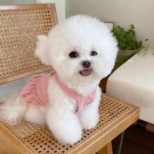 一件狗狗连衣裙，适合贵宾犬、泰迪犬、比熊犬和其他小型犬，秋冬季穿着。 - 粉色 - 查看 6