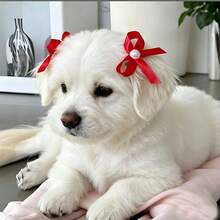 2pcs Pet Bow Hair Clips, Cute Cat Pearl Bow Headband, Dog Birthday Accessory - Blue - View 1