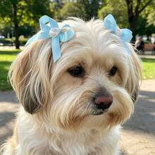 2pcs Pet Bow Hair Clips, Cute Cat Pearl Bow Headband, Dog Birthday Accessory - Blue - View 4