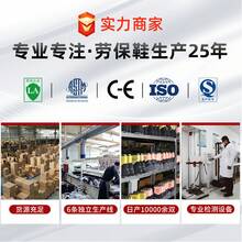 2026年新製品、新モデルの作業用安全靴、大穴通気性、耐衝撃・耐穿刺性、夏用4.0ケブラー絶縁10KV電気工事士用靴 - 5061KV - 10KV絶縁安全靴 - チェックする 4