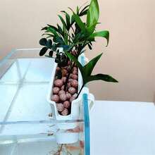 1個懸掛式水生植物架，壁掛式水耕植物籃，附槽形側板，適用於水族水草與水下綠植佈局，浮魚缸裝飾 - 多色 - 查看 3