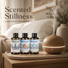 100ml Fragrance Essential Oil Refill, Suitable For Ultrasonic Diffusers, Reed Diffusers, Flameless Aroma Diffusers, Long-Lasting Home Fragrance Refill - 優質精油 - 查看 1