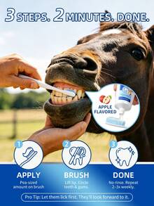 GJYC PET Horse Toothbrush & Toothpaste Set, Apple Flavor, Easy Brushing, Powerful Plaque Removal, Fresh Breath, Gum Care, Only A Few Minutes Daily (Complete 2-In-1 Set) - Multicolor - View 4
