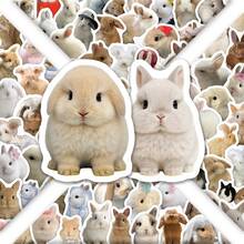 Cute Rabbit Stickers, 100PCS Kawaii Bunny Animal Funimost Vinyl Waterproof Stickers Pack For Water Bottle Laptop Scrapbook, School Supplies - 1 Set - View 6